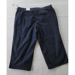 Intro Love the Fit Jeans (Capris)Color Darkw Size 22W (4)